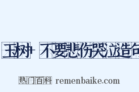 玉树+不要悲伤哭泣造句是什么意思的图片